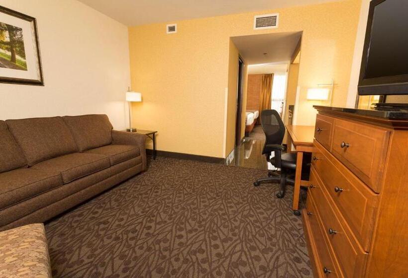 Люкс Адаптированный для Инвалидов, Drury Inn & Suites Frankenmuth