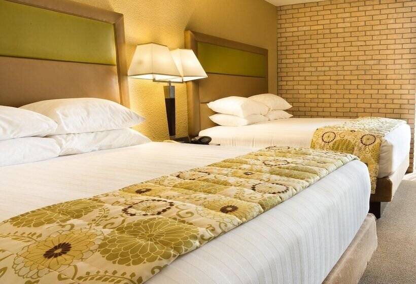 سوییت, Drury Inn & Suites Paducah