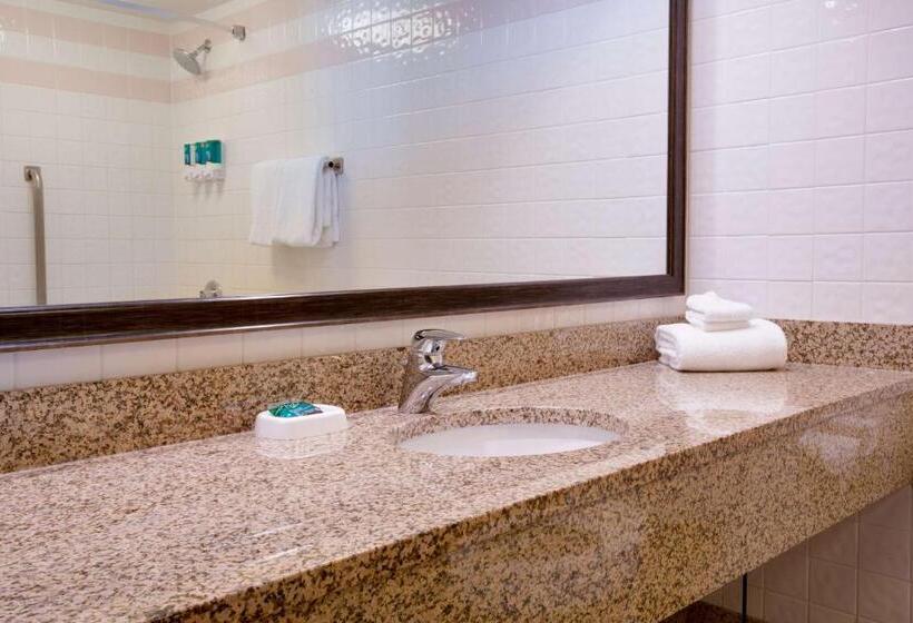 适用于残疾人士的豪华房间, Pear Tree Inn St Louis Convention Center