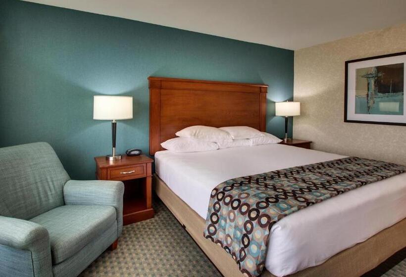 带大床的标准间, Sonesta Essential Houston Hobby Airport
