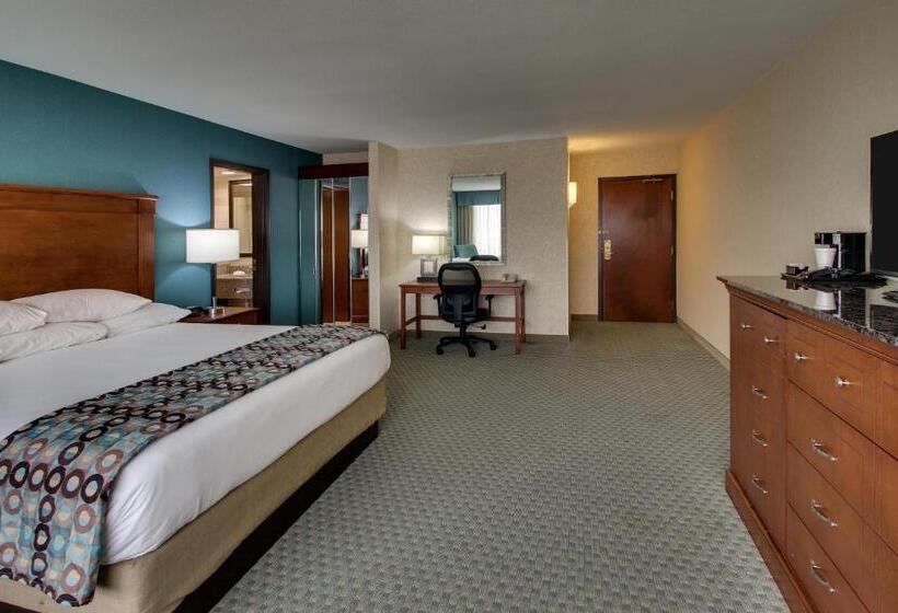 带大床的豪华间, Sonesta Essential Houston Hobby Airport