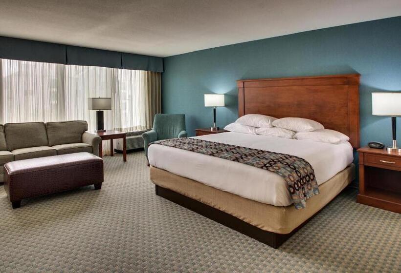 带大床的套房, Sonesta Essential Houston Hobby Airport