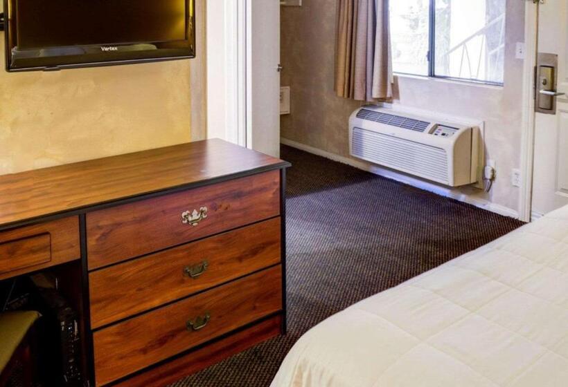 Стандартный Номер Кровать Кинг, Rodeway Inn Near Venice Beach