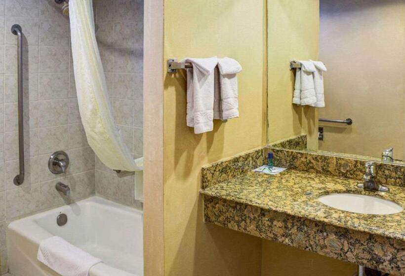 Номер Стандарт Адаптированный для Инвалидов, Rodeway Inn Near Venice Beach