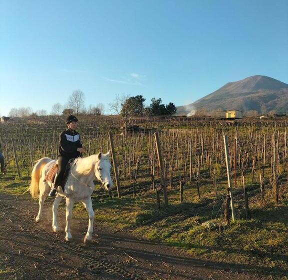 Полулюкс Повышенной Комфортности, Vesuvio Inn Bed & Wine Experience