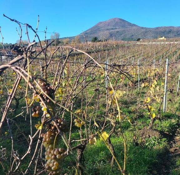 Полулюкс Повышенной Комфортности, Vesuvio Inn Bed & Wine Experience