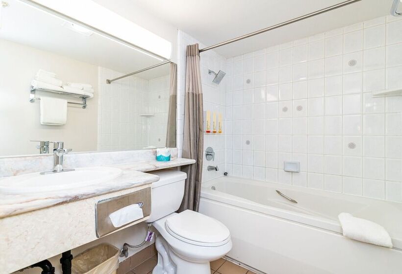 Номер Стандарт 2 Двуспальные Кровати, Art Hotel Laguna Beach