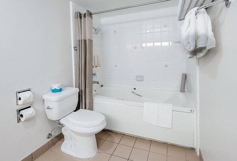 Quarto Estandar 2 Camas Casal, Art Hotel Laguna Beach