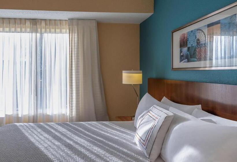 Номер Стандарт Кровать Кинг Адаптированный для Инвалидов, Fairfield Inn Richmond Chester