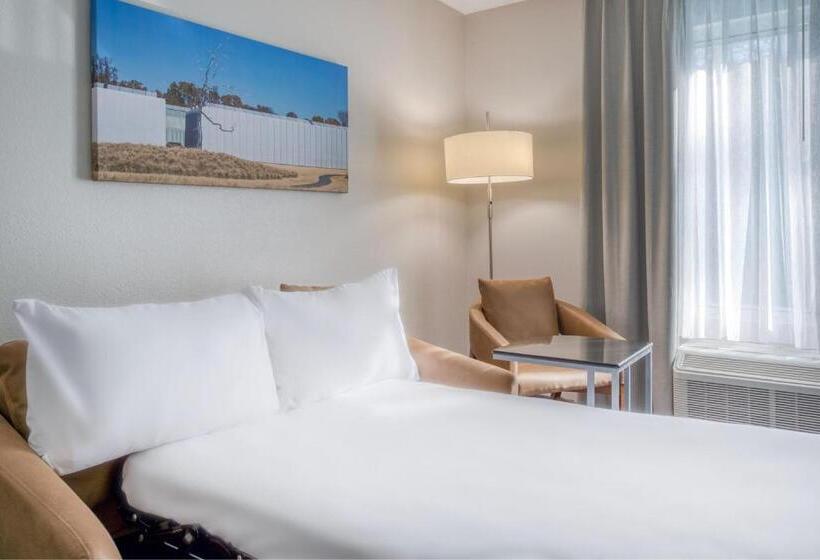 سوئیت با تخت بزرگ, Fairfield Inn & Suites Raleigh Crabtree Valley