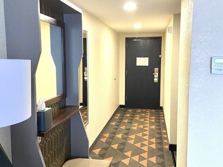 Номер Стандарт, Holiday Inn Spartanburg Northwest
