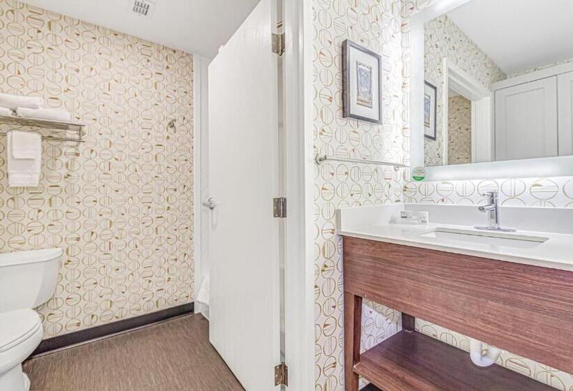 Стандартный Номер Кровать Кинг, Holiday Inn Spartanburg Northwest