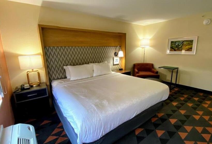 Стандартный Номер Кровать Кинг, Holiday Inn Spartanburg Northwest
