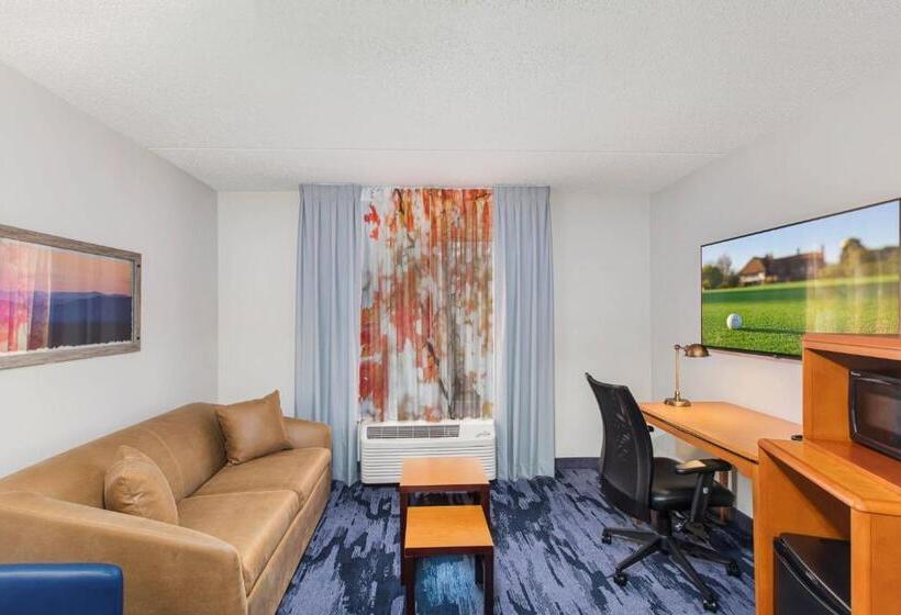 سوئیت با تخت بزرگ, Fairfield Inn By Marriott Evansville East