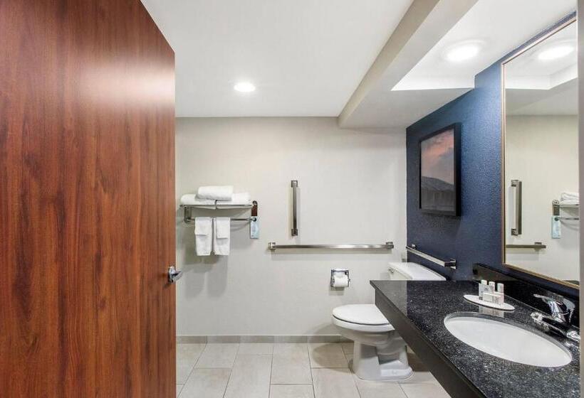 سوئیت با تخت بزرگ, Fairfield Inn By Marriott Evansville East