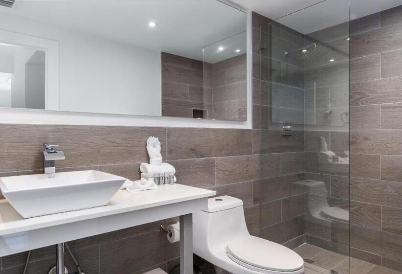豪华两卧套房, Fortune House Hotel Suites