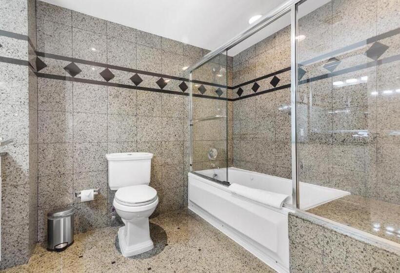 豪华两卧套房, Fortune House Hotel Suites