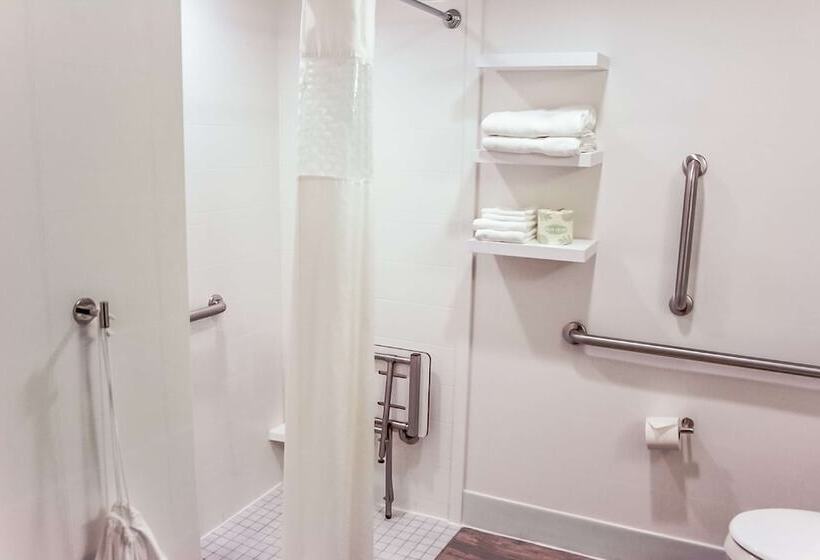 身障者適用スタンダードルーム, Hampton Inn Rochester South