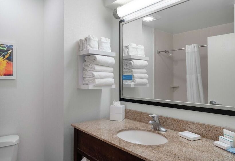 Номер Стандарт Двуспальная Кровать, Hampton Inn & Suites Nashville/franklin
