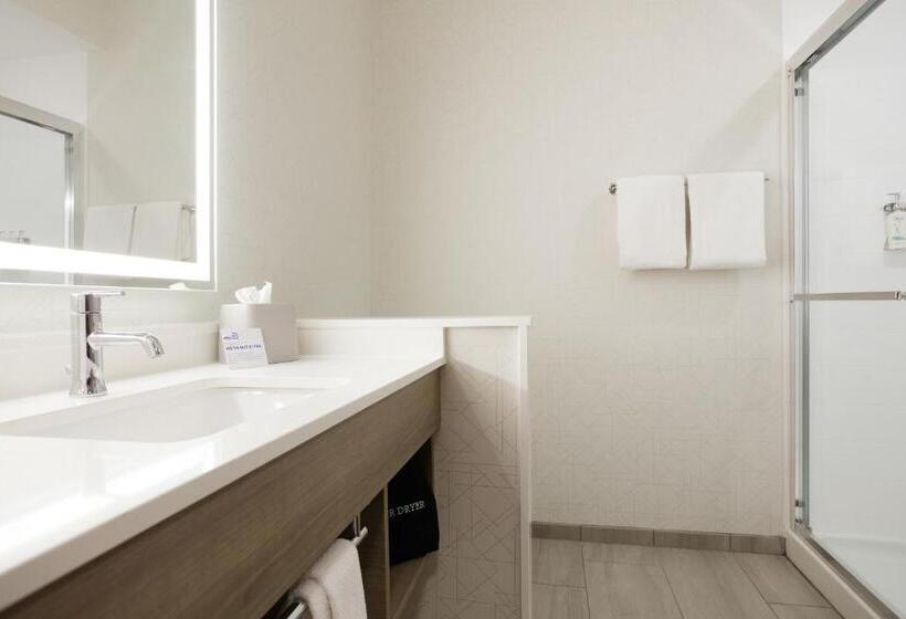 Стандартный Номер Кровать Кинг, Holiday Inn Express Fremont, An Ihg