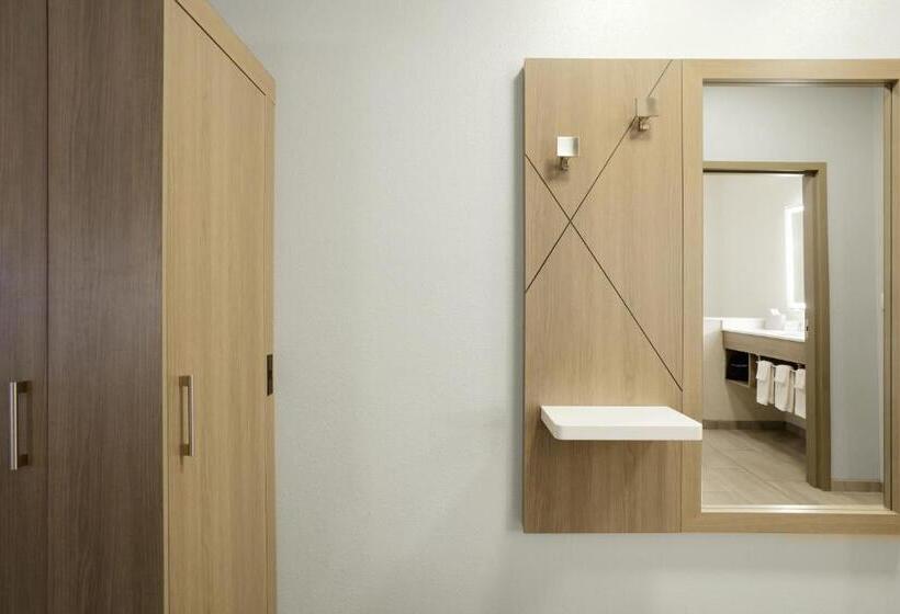 Люкс, Holiday Inn Express Fremont, An Ihg