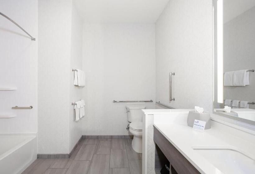 Номер Стандарт Кровать Кинг Адаптированный для Инвалидов, Holiday Inn Express Fremont, An Ihg