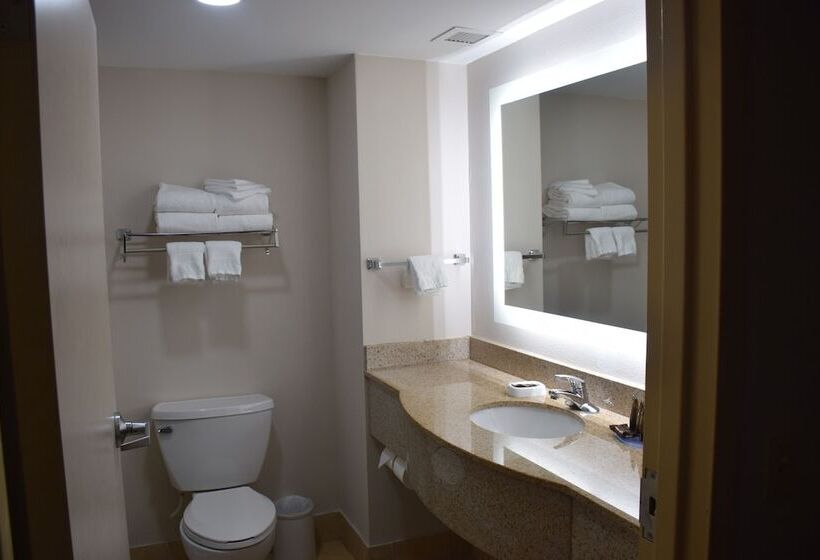 חדר סופריור, Wingate By Wyndham Baltimore Bwi Airport