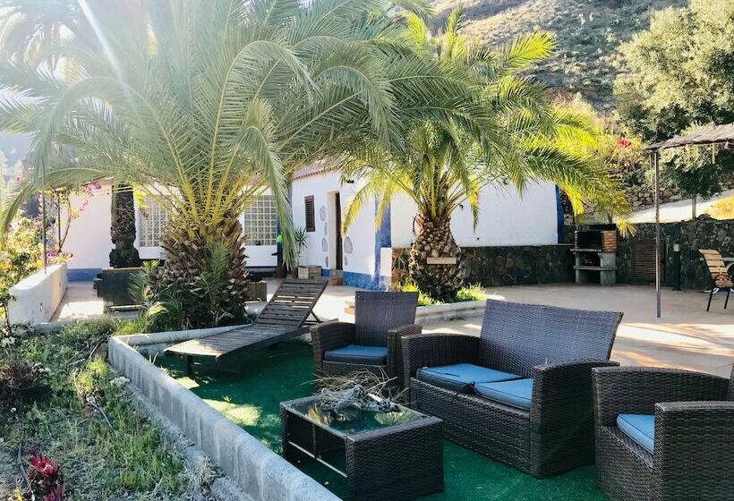 استودیو استاندارد با چشم‌انداز کوهستان, Ecotara Canary Islands