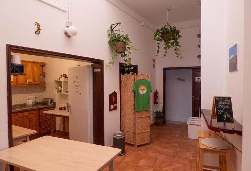 Номер Стандарт Совместная Ванная, Tabaiba Guesthouse