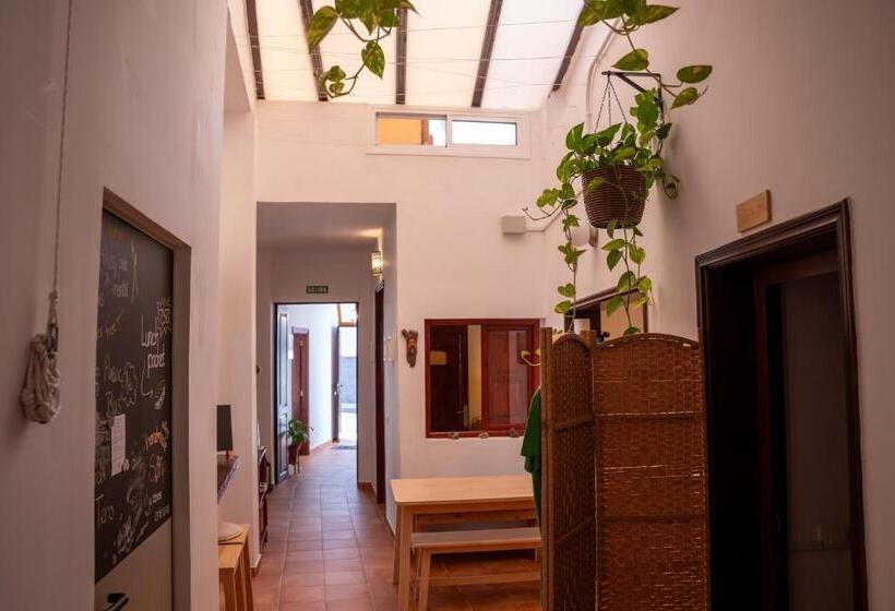 Номер Стандарт 2 Двуспальные Кровати, Tabaiba Guesthouse