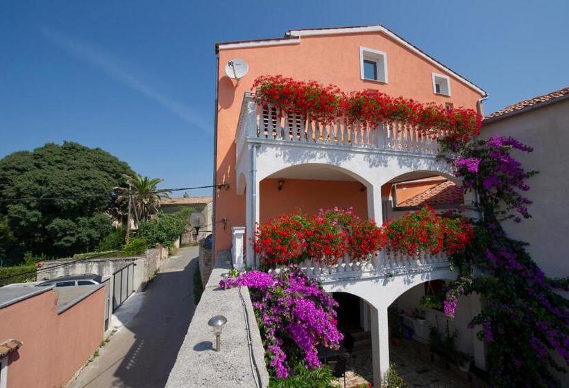 آپارتمان 1 خوابه, Apartments Salčinović