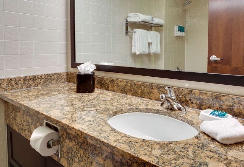 Chambre Deluxe, Drury Inn & Suites San Antonio Northeast