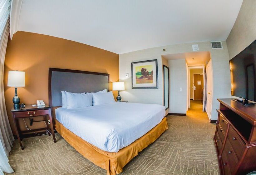 سوییت, Embassy Suites By Hilton Lexington Green