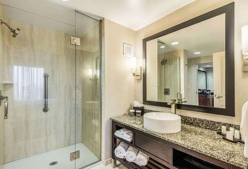 سوییت, Embassy Suites By Hilton Lexington Green