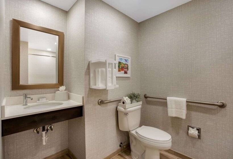 适合残疾人使用的标准间, Hampton Inn Philadelphia / Willow Grove