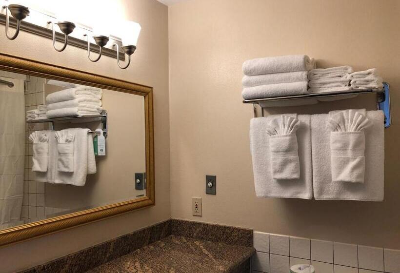اتاق استاندارد با چشم‌انداز, Port Angeles Inn