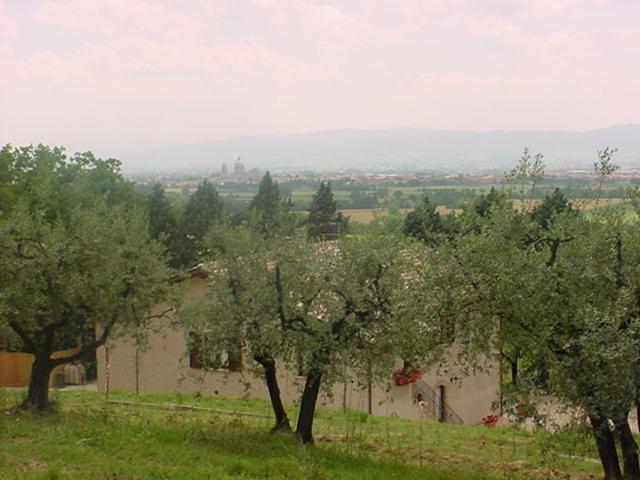 آپارتمان 3 خوابه, Agriturismo La Cantina San Martino
