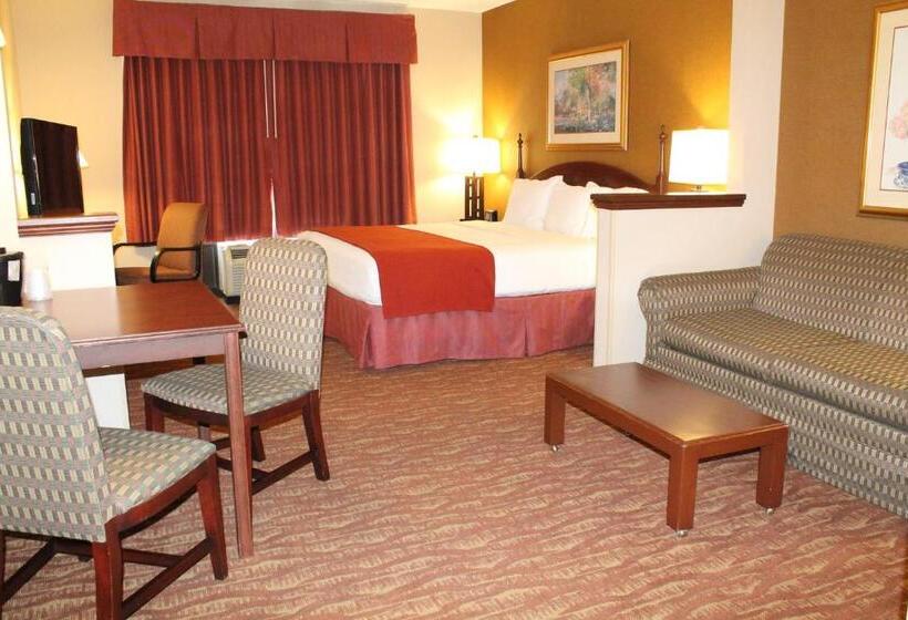 اتاق استاندارد با تخت بزرگ, Auburn Place Hotel & Suites Paducah