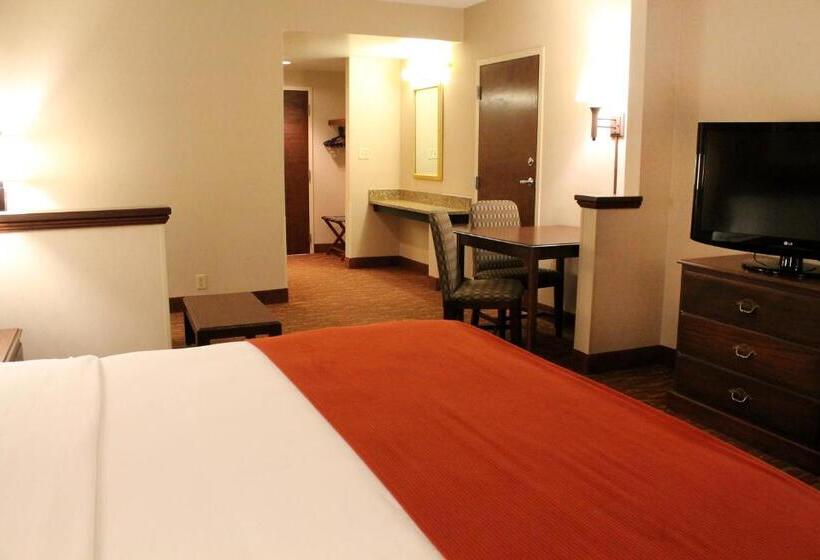 اتاق استاندارد با تخت بزرگ, Auburn Place Hotel & Suites Paducah