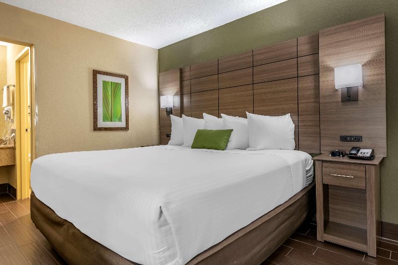 스탠다드 룸 킹사이즈 침대, Best Western Downtown Stuart