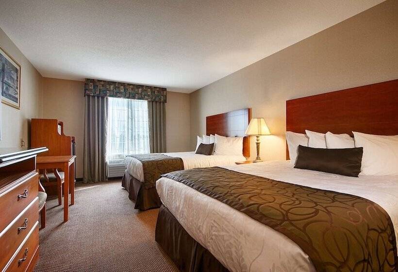 스탠다드 룸, Best Western Plus Twin View Inn & Suites