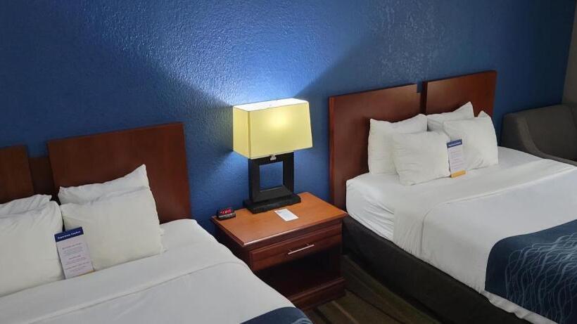 スタンダードルーム, Comfort Inn Alpharettaatlanta North