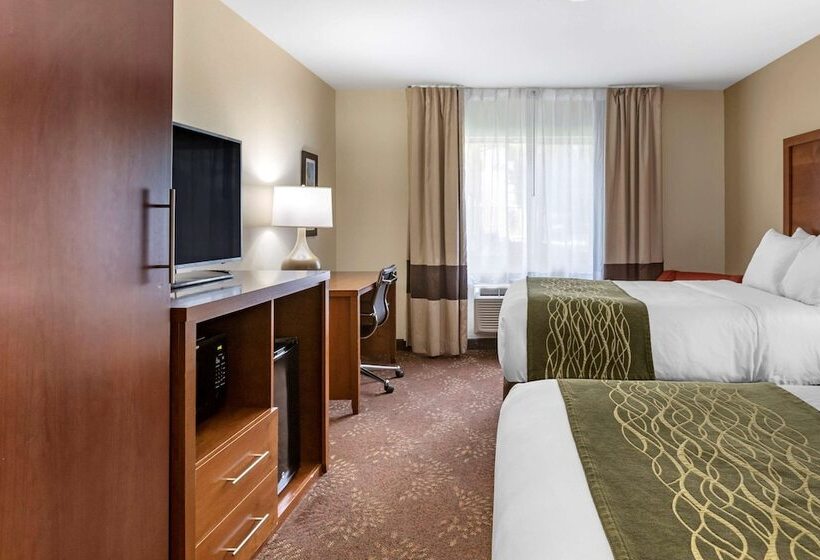 Номер Стандарт 2 Двуспальные Кровати, Comfort Inn Okemos  East Lansing