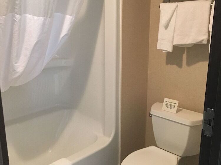 Номер Стандарт 2 Двуспальные Кровати, Comfort Inn