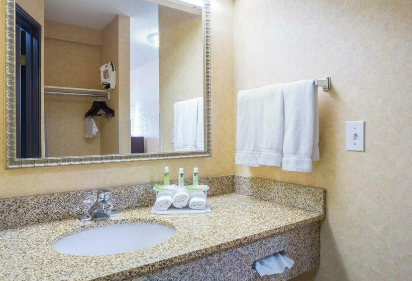 Номер Стандарт, Holiday Inn Express Layton   I 15, An Ihg