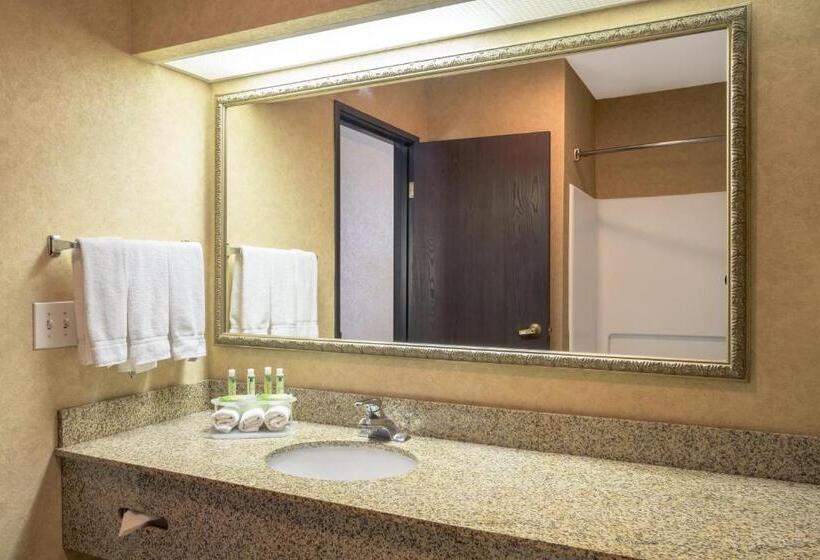 Люкс Кровать Кинг, Holiday Inn Express Layton   I 15, An Ihg