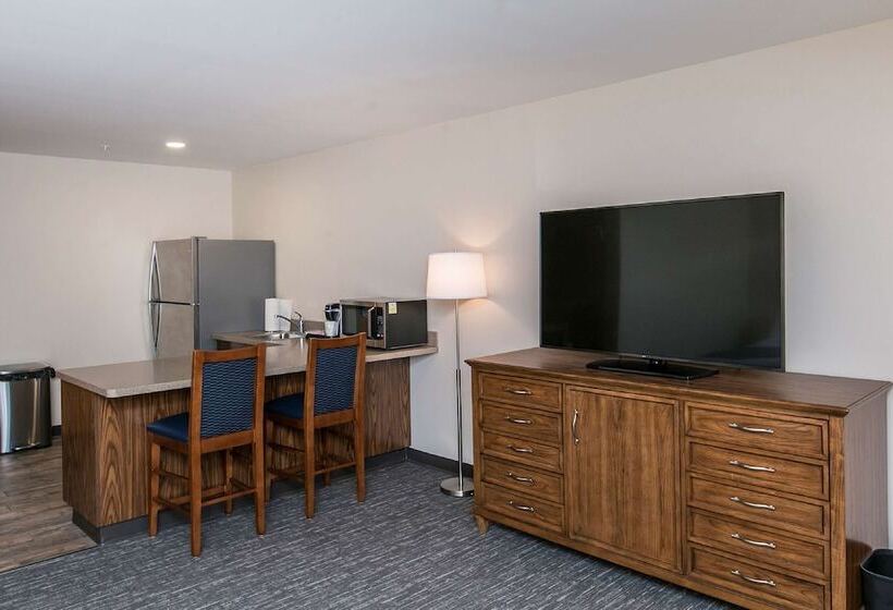 Номер Стандарт 2 Двуспальные Кровати, Surestay Plus Hotel By Best Western Elizabethtown Hershey