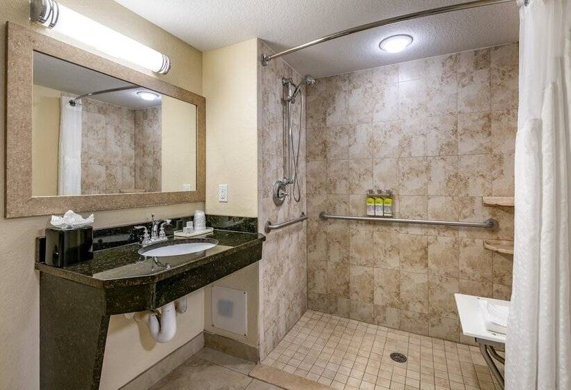 اتاق استاندارد با تخت دوبل, Holiday Inn Resort Orlando   Lake Buena Vista, An Ihg