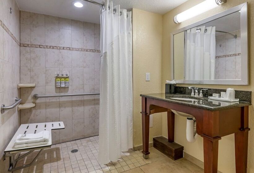 اتاق استاندارد با 2 تخت دوبل, Holiday Inn Resort Orlando   Lake Buena Vista, An Ihg
