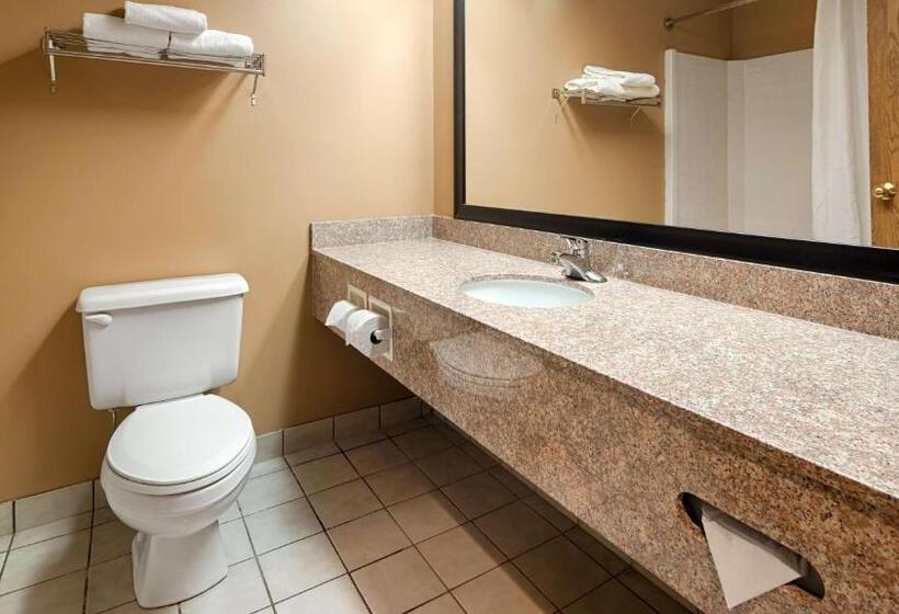 Стандартный Номер Кровать Кинг, Best Western Plaza Hotel Saugatuck